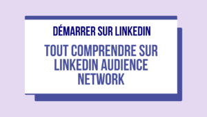 vignette LinkedIn Audience Network